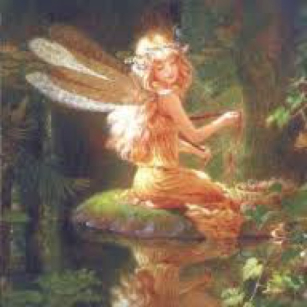 Meet your Posher, jazzy